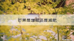 芒果是增肥还是减肥