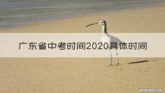 广东省中考时间2020具体时间