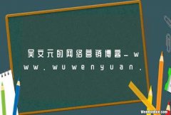 吴文元的网络营销博客_www.wuwenyuan.com