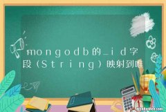 String mongodb的_id字段映射到唯一的int