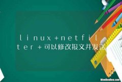 linux netfilter 可以修改报文并发送么