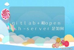 gitlab 和openssh-server是如何同时监听22号端口的？