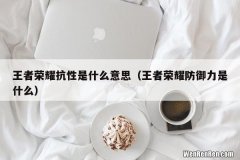王者荣耀防御力是什么 王者荣耀抗性是什么意思