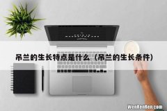 吊兰的生长条件 吊兰的生长特点是什么
