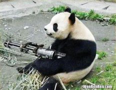 大熊猫有没有天敌,大熊猫真的没天敌吗