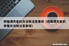 地栽满天星的养殖方法和注意事项 种植满天星的方法和注意事项