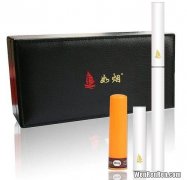 出口电子烟品牌排行榜大全,电子烟十大品牌排名分别是哪些