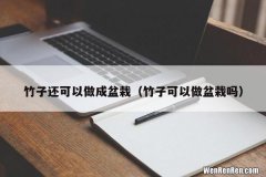 竹子可以做盆栽吗 竹子还可以做成盆栽