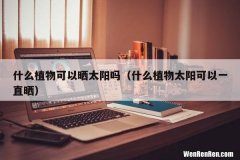 什么植物太阳可以一直晒 什么植物可以晒太阳吗