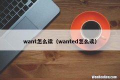 wanted怎么读 want怎么读