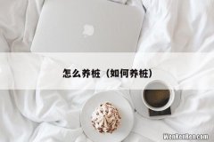 如何养桩 怎么养桩