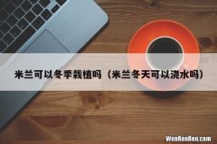 米兰冬天可以浇水吗 米兰可以冬季栽植吗