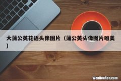 蒲公英头像图片唯美 大蒲公英花语头像图片