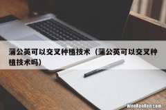 蒲公英可以交叉种植技术吗 蒲公英可以交叉种植技术