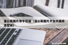 蒲公英图片大全大图高清壁纸 蒲公英图片带字花语