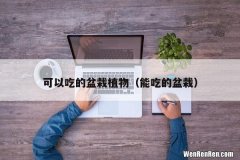 能吃的盆栽 可以吃的盆栽植物