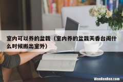 室内养的盆栽天香台阁什么时候搬出室外 室内可以养的盆栽