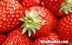 草莓什么时候种,草莓什么时候种合适?怎样种?
