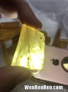 为什么琥珀里的虫子不会腐烂,〓〓琥珀里头裹的虫子会腐烂吗？〓〓