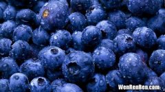 蓝莓的皮可以一起吃吗,蓝莓的皮可以吃吗?