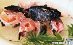 黑鱼属于海鲜吗,黑水鱼算海鲜嘛 黑鱼的营养价值