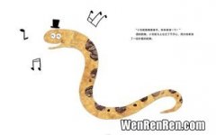 蛇是不是保护动物,蛇是不是保护动物