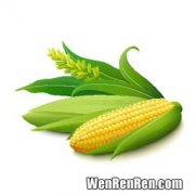 玉米起源,你觉得玉米的原产地是在哪里？