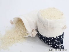 胚芽米和普通米有什么区别,胚芽米和大米的区别 二者有什么不一样的地方