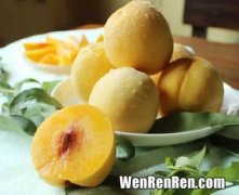 黄桃和火龙果可以一起怎样吃,黄桃可以和火龙果一起吃吗