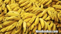 未熟的香蕉能吃吗芭芭农场,未熟的香蕉能吃吗芭芭农场答案是什么？