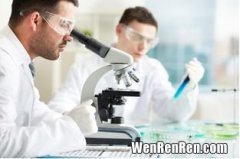 育辛宝曲素的作用与功效,酵素有哪些作用？