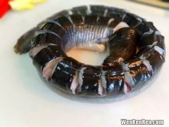 鳗鱼怎么杀,鳗鱼怎样杀