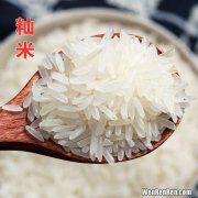 籼米在超市里叫什么米,籼米是什么大米