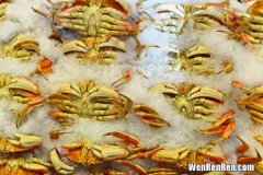 螃蟹冻了半年还能吃吗,大闸蟹冻冰箱还能吃吗 螃蟹冻了半年还能吃吗