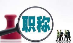 专业技术职务，专业技术职务是指什么