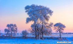 来自吉林各地区的经典美食小吃,吉林最全特色名小吃