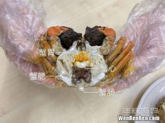 公大闸蟹白色胶状物可以吃吗,大闸蟹里面有白色的胶状是什么东西