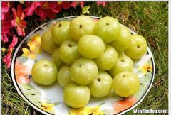 海南有什么新奇好吃的水果,你吃过几种食物