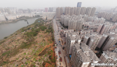 武汉最近几年各个区新增人口排名