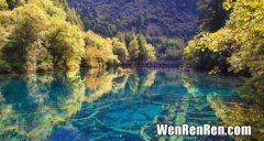 成都至九寨沟景区有多少公里啊,成都到九寨沟有多远？