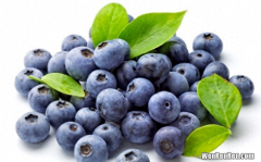 蓝莓怎么清洗和保存,新摘的蓝莓怎么清洗保存