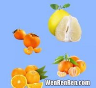 橙子和柚子能一起吃吗,柚子和橙子可以一起吃吗