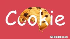 什么是cookie,cookie是什么意思