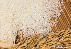 大米可以放冷藏保存吗 大米为什么不宜暴晒和长久存放