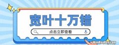 宽叶十万错草药图片 宽叶十万错