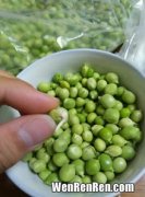 如何让豌豆发芽,豌豆芽的种植方法