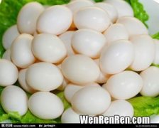 鸽子蛋与鸡蛋的营养有什么不同,鸽子蛋和鸡蛋营养对比是什么?
