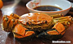 螃蟹和柚子可以吃吗一起吃吗,螃蟹能和柚子一起吃么 螃蟹和柚子隔多久能吃