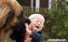 狗狗舔人脸会有细菌吗,狗狗老是喜欢用舌头添我的手和脸，会不会很脏？