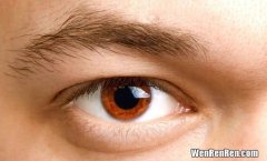 为什么眼睛经常长麦粒肿,麦粒肿的形成原因是什么？